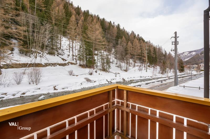 Appartement lumineux avec panorama de montagne et charme (9)