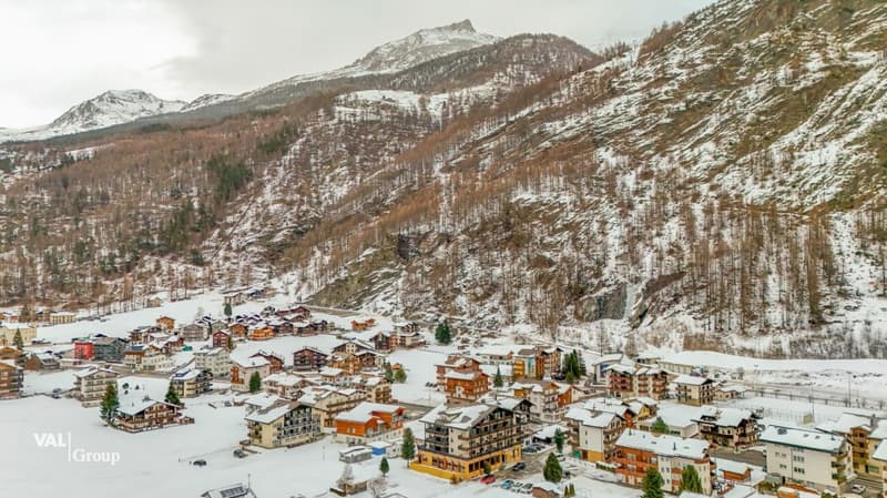 Appartement lumineux avec panorama de montagne et charme (14)