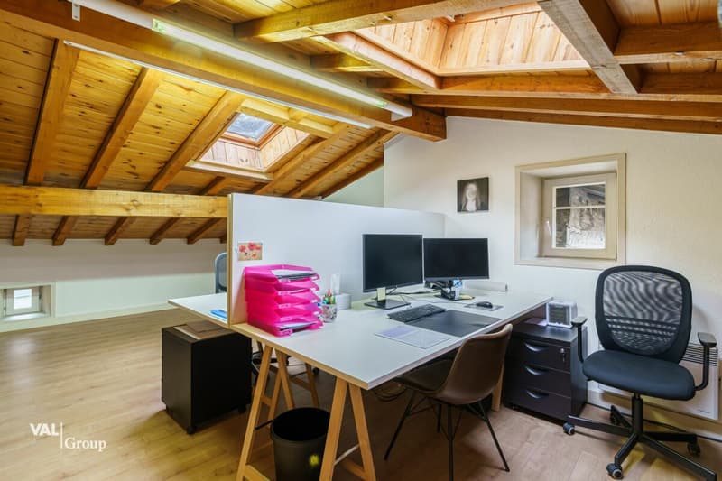 Renovated MFH with many usage possibilities and historic flair in top location (4)