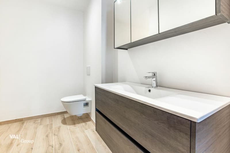 Architettura moderna e vista mozzafiato sulle Alpi vallesane (13)