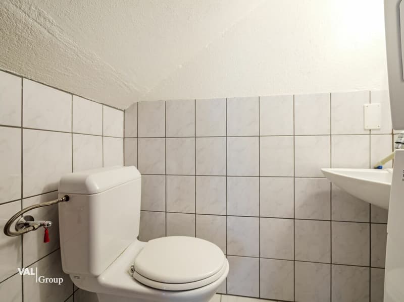 Opportunità unica: Casa con due appartamenti indipendenti (5,5 e 2,5 locali) (14)