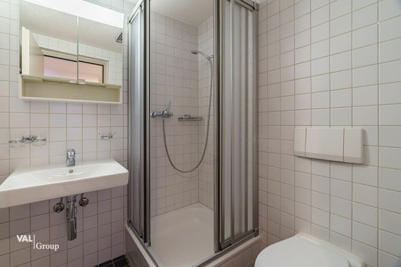 Appartement lumineux et accueillant avec beaucoup de charme dans le centre du village (6)