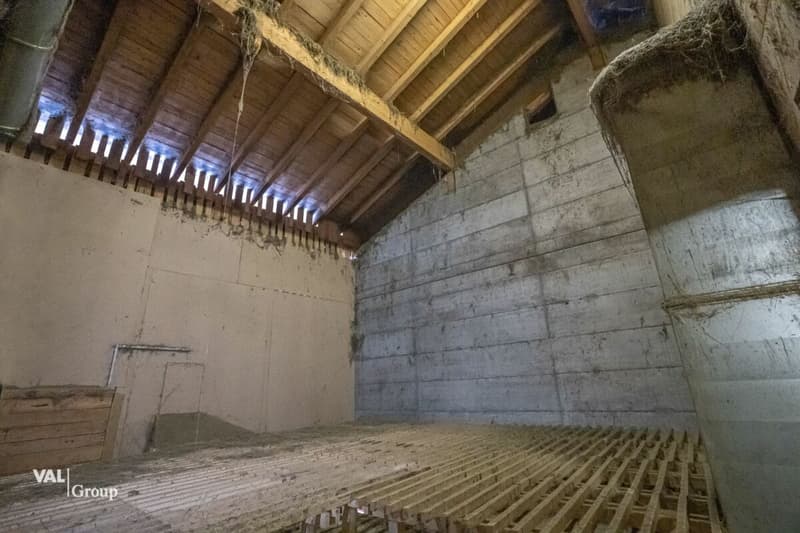 Stable, barn, and garage in a beautiful location (5)