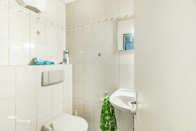Attractive ground floor and basement property in a prime central location in Visp (9)