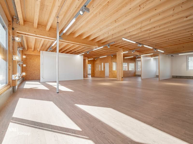 Modern commercial hall with attractive yield (2)
