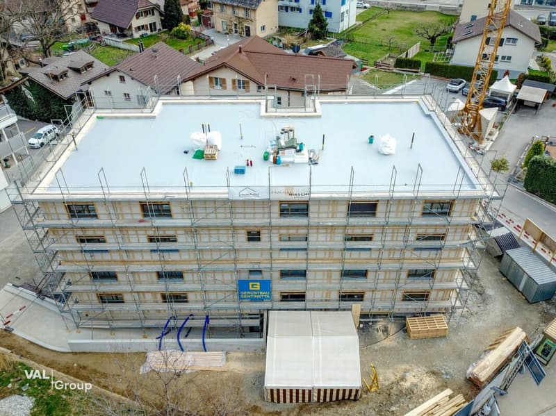 Appartement d'attique exceptionnel de 5,5 pièces à Steg (13)