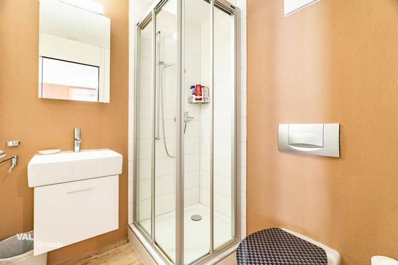 Exclusive 5.5-room terrace apartment with lift directly into the apartment - privileged view location in Visp (13)