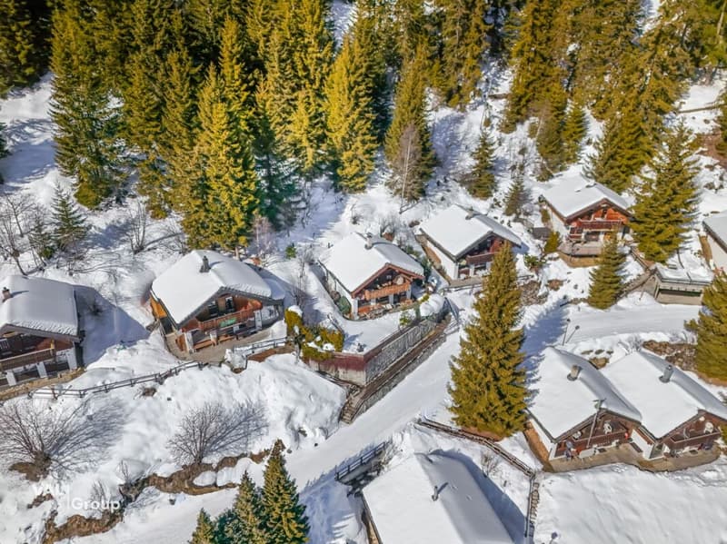 Rêve résidentiel alpin avec vue imprenable (23)
