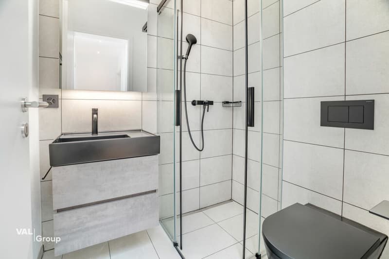 Unique 4.5-room attic apartment in Visp - modern living with the best view (12)
