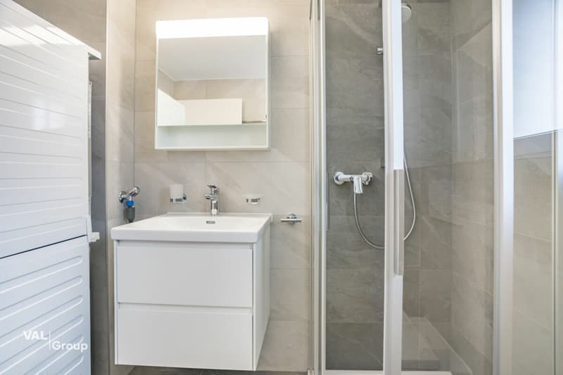 Appartement neuf de 3,5 pièces lumineux avec balcon - Vivre à Steg (8)