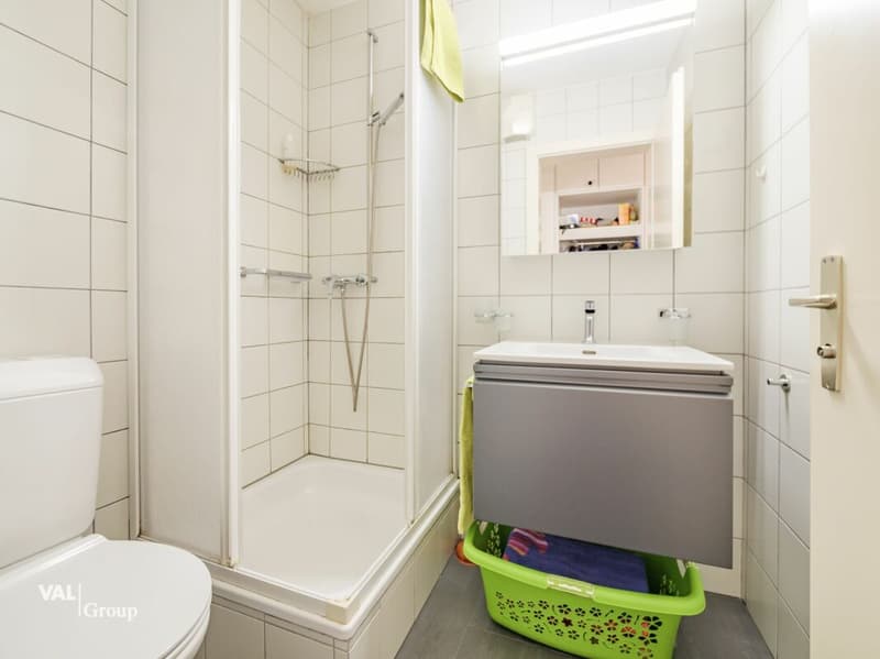 Well-maintained garden apartment in the wine paradise of Salgesch (10)