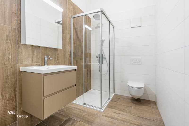 Magnificent 4.5-room attic with balcony and plenty of light (3)