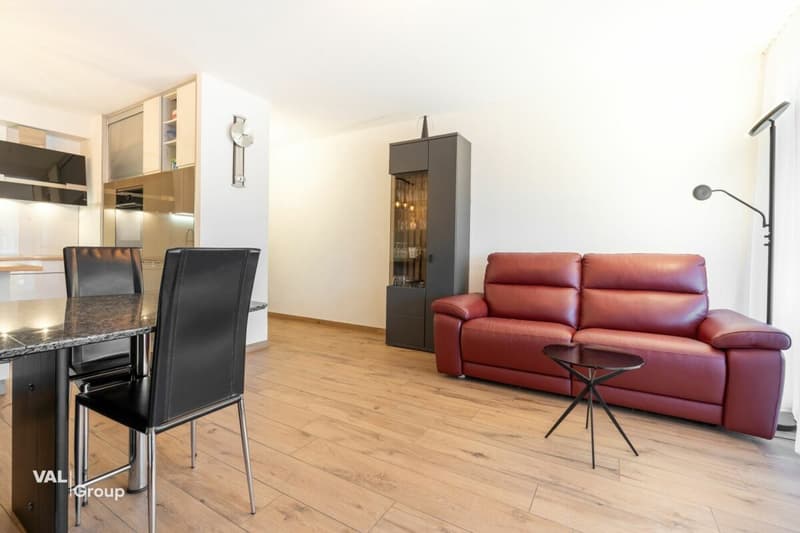 Renovated apartment, secondary residence or investment (3)