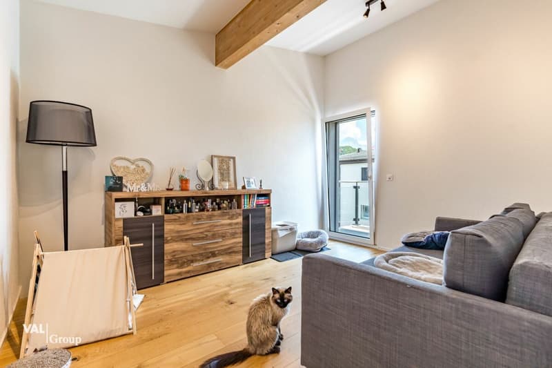 Magnificent duplex 4.5 rooms with garden, terraces and underground parking space included (9)