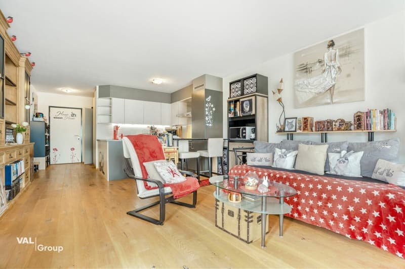 Cozy south-facing apartment (2)