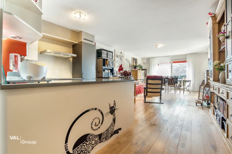 Cozy south-facing apartment (1)