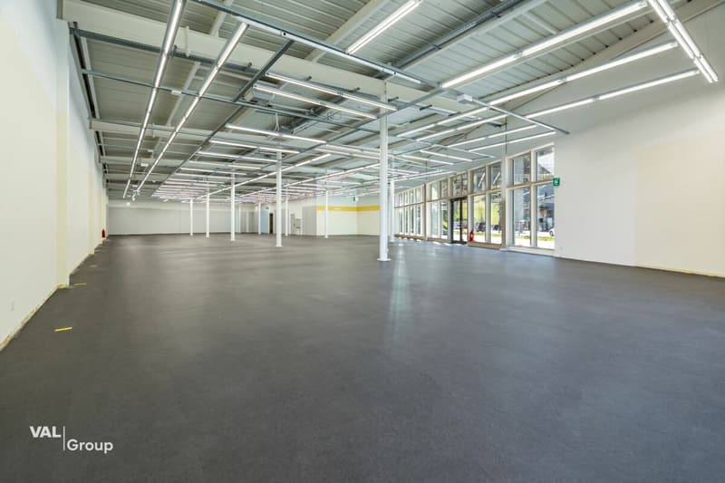 Moderne Gewerbehalle im Fachmarkt «Dreispitz» (10)