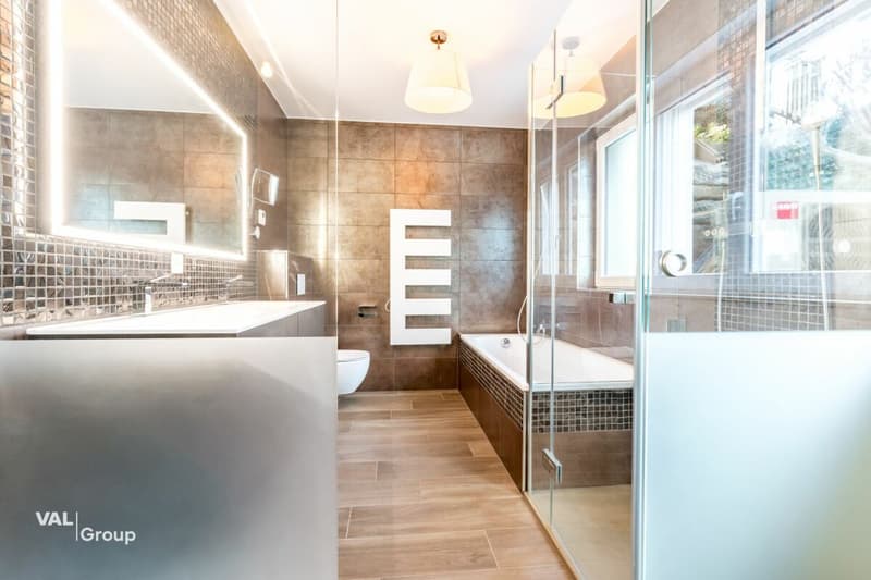 Spacious apartment in a two-unit house (7)