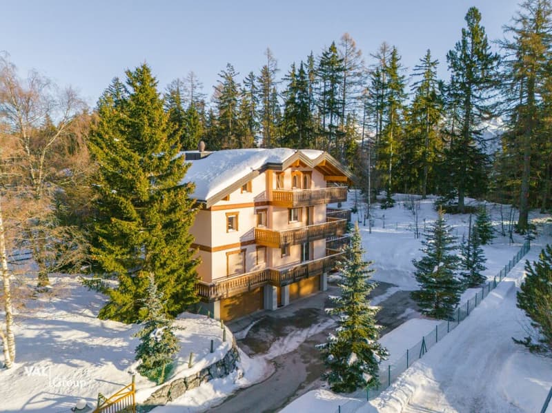 Residenz mit 3 großzügigen Wohnungen (14)