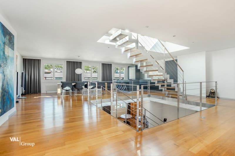 Attique en duplex avec terrasse sur le toit, au coeur de la ville (5)