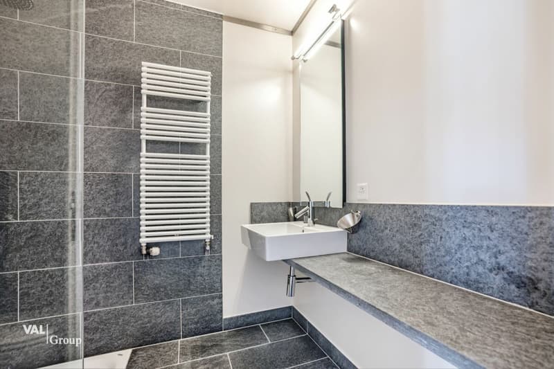 Attique en duplex avec terrasse sur le toit, au coeur de la ville (11)