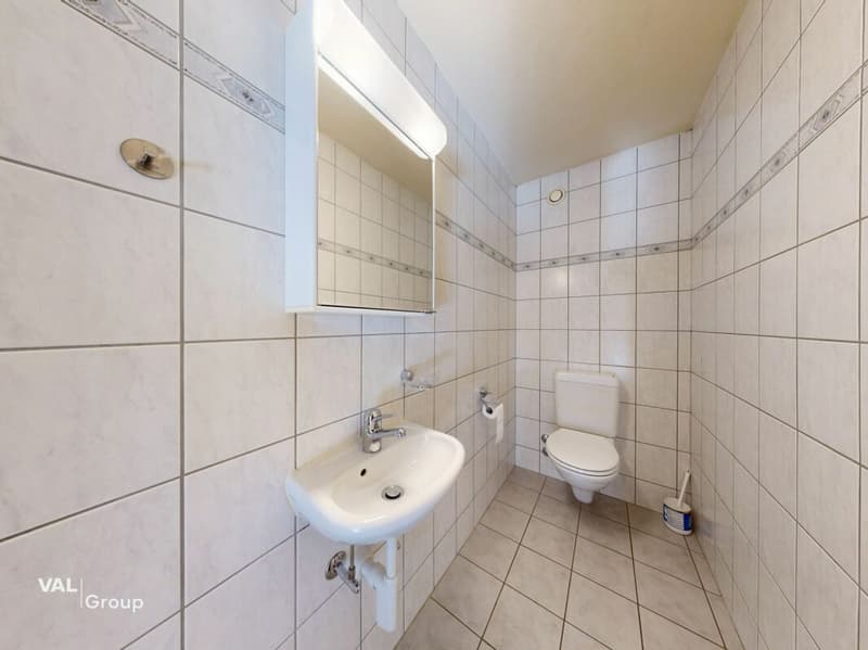 Attractive opportunity in the heart of Naters (9)