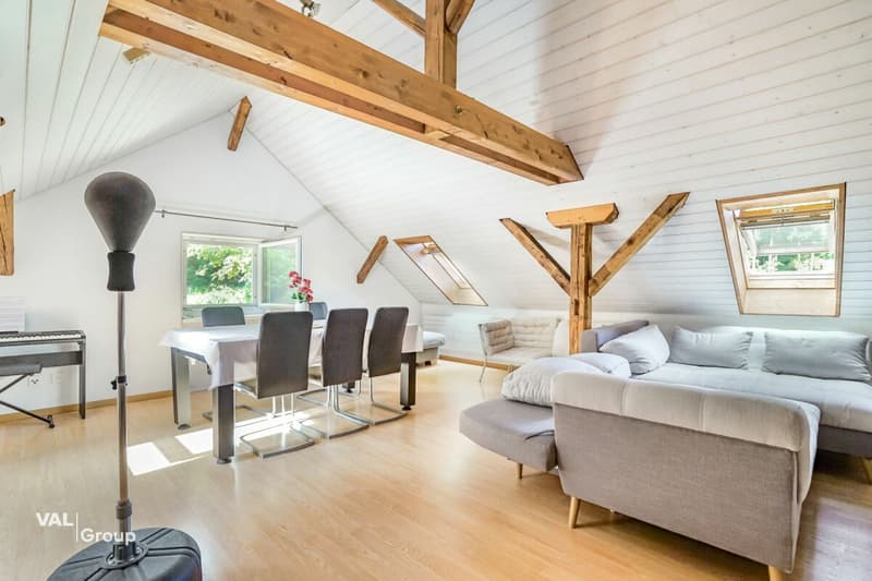 Charmant appartement de 2,5 pièces en mansarde (1)