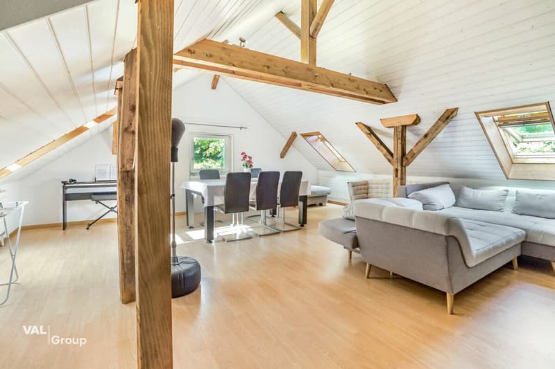 Charmant appartement de 2,5 pièces en mansarde (2)
