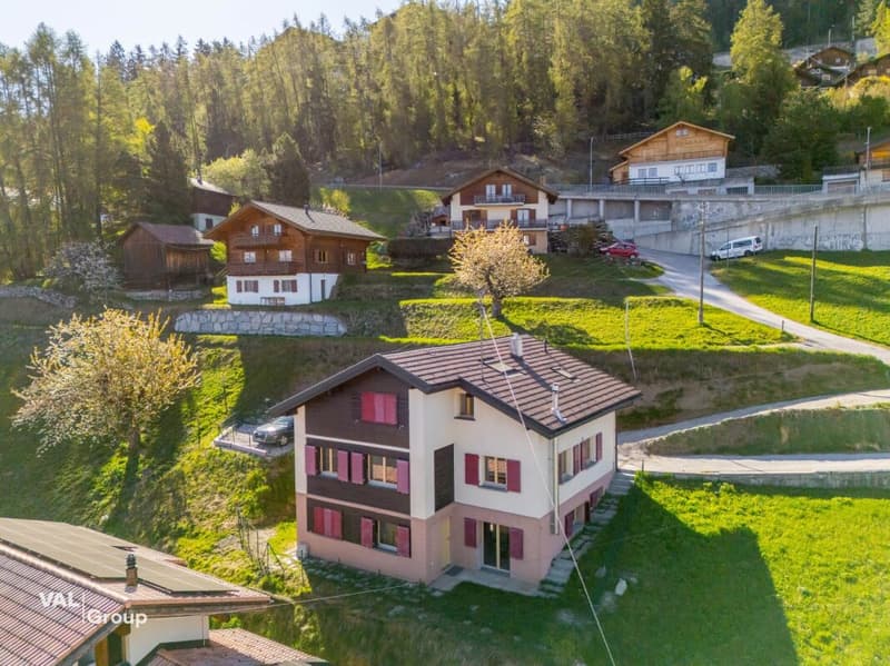 L'esprit chalet revisité dans un superbe 5 pièces (11)