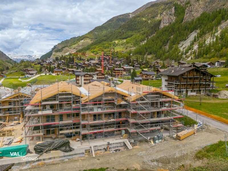 Panorama alpino unico - Superba 4.5 locali luminosa e spaziosa (10)