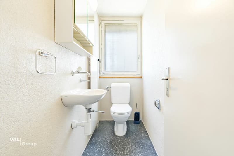 Seltene Gelegenheit: viel Raum, grosser Garten, zentrale Lage mit Gewerbeoption (14)