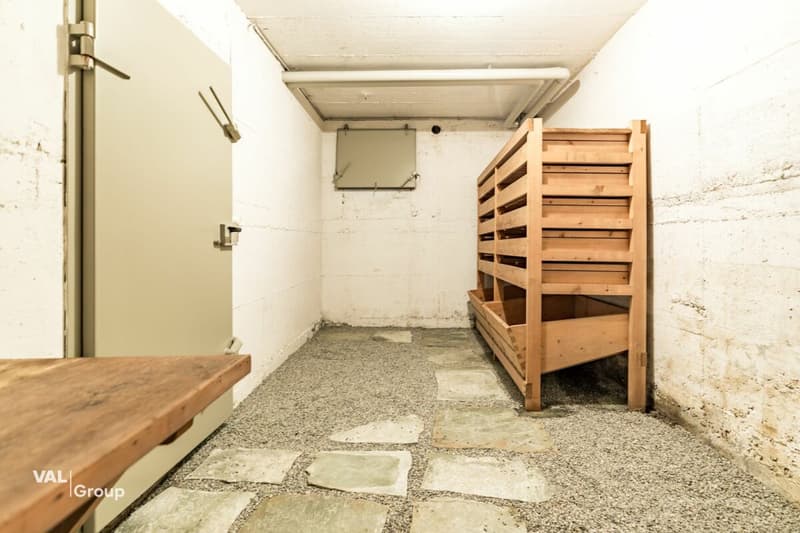 Seltene Gelegenheit: viel Raum, grosser Garten, zentrale Lage mit Gewerbeoption (28)