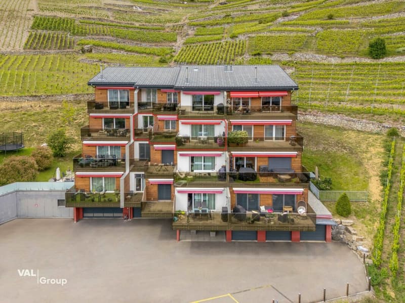 Chaleureux appartement orienté sud (14)