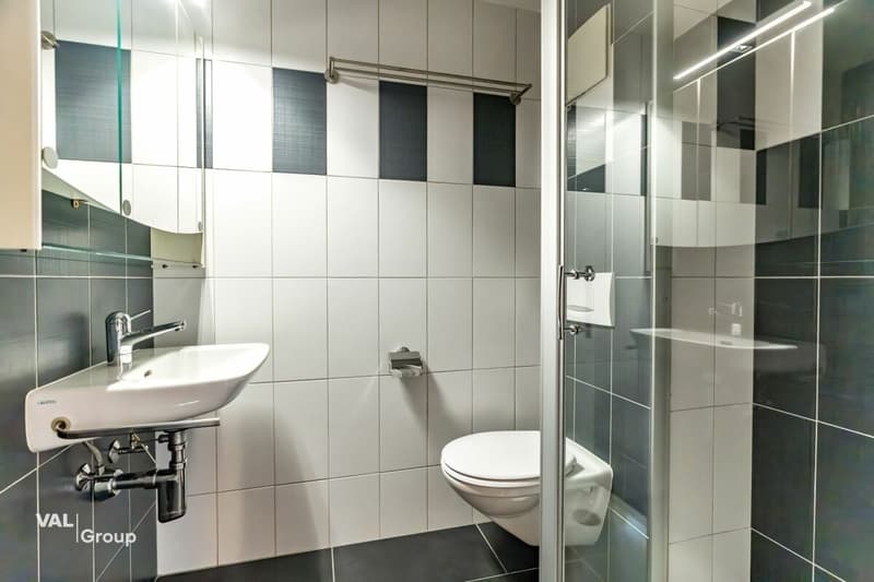 Grosszügige 4.5-Zimmerwohnung im Herzen von Glis (9)