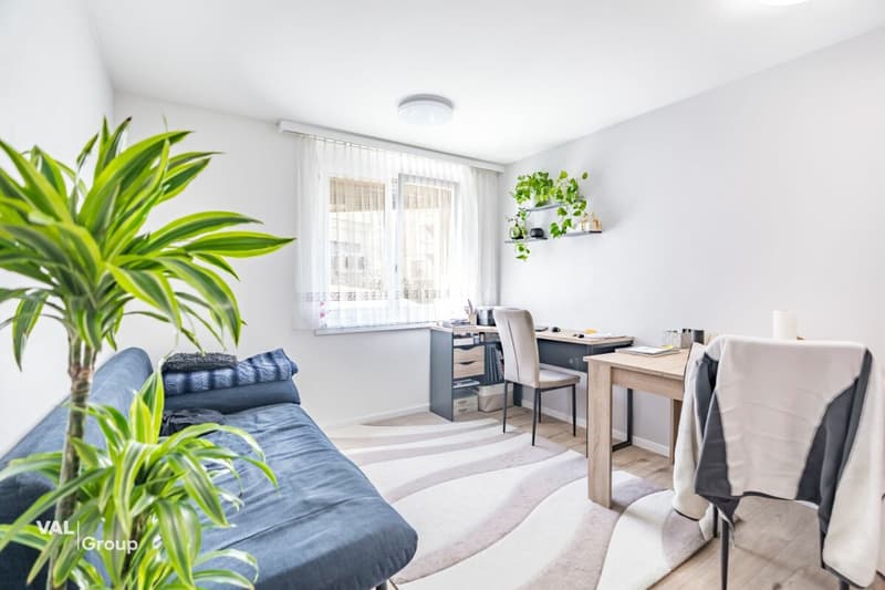 Attraktive 2.5-Zimmerwohnung in Raron - Top Lage (2)