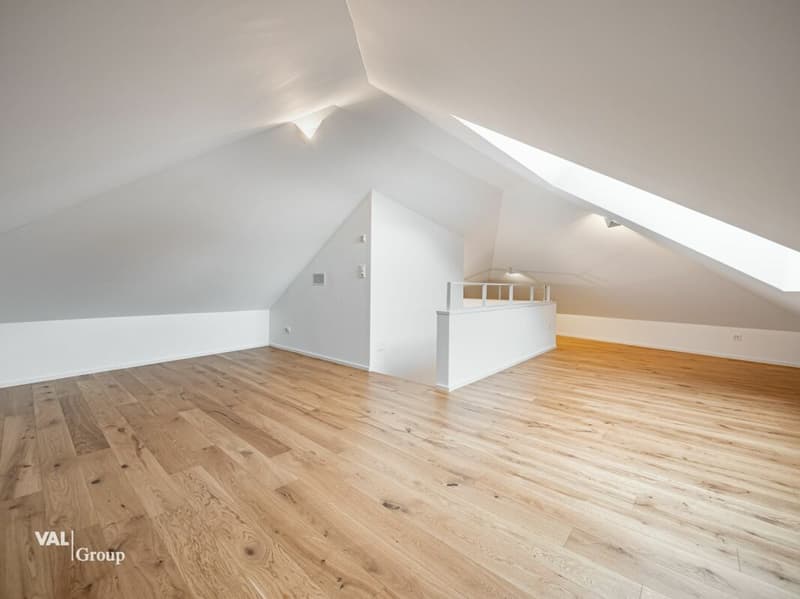 Exklusive Dachwohnung auf zwei Stockwerken (5)