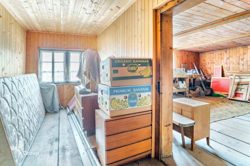 Renovierte Wohnung mit zusätzlicher Altwohnung und Ausbaupotenzial (13)
