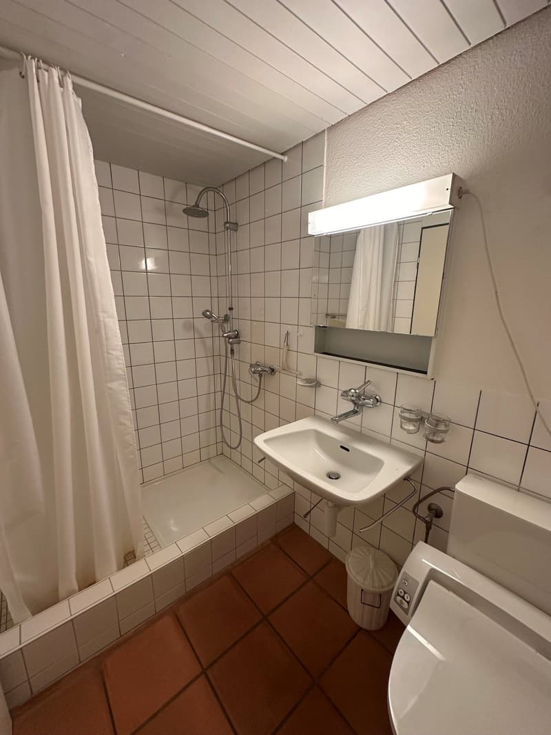 Einmalige Gelegenheit / Top Wohnung mit Seesicht und Nähe zum See (10)