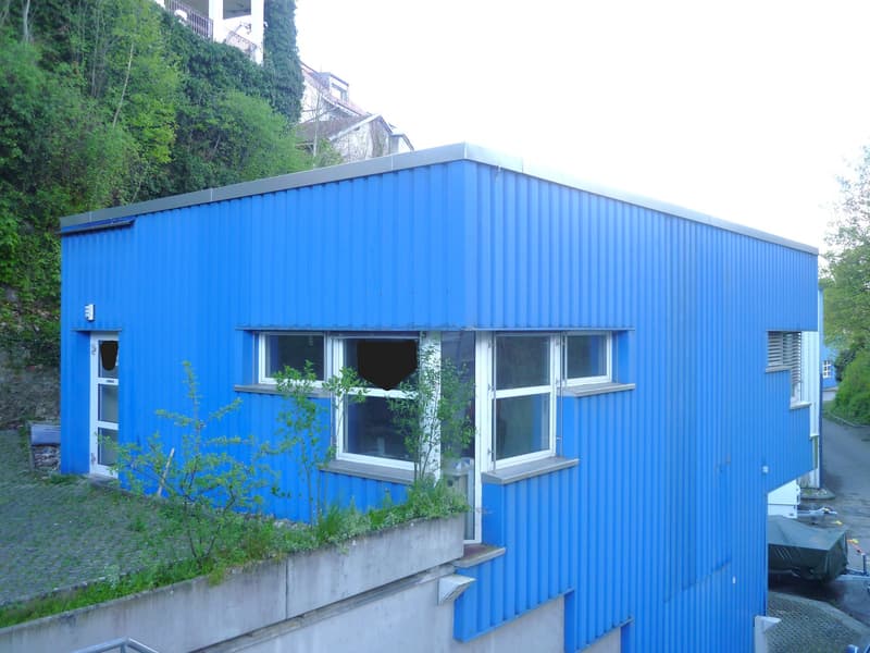 Blue building, rectangular windows, metal siding, gray roof, located on a sloped terrain