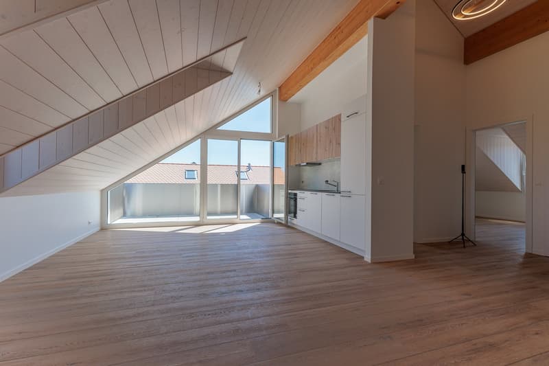 Magnificent 3.5-room new apartment in Allens - Virtual tour in the ad (1)