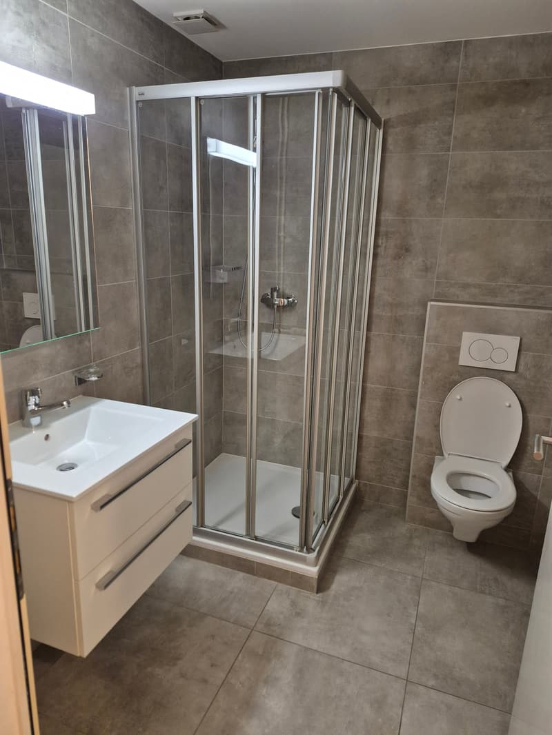 Helles 4-Zimmer-Apartment zur Miete in Eclépens (4)