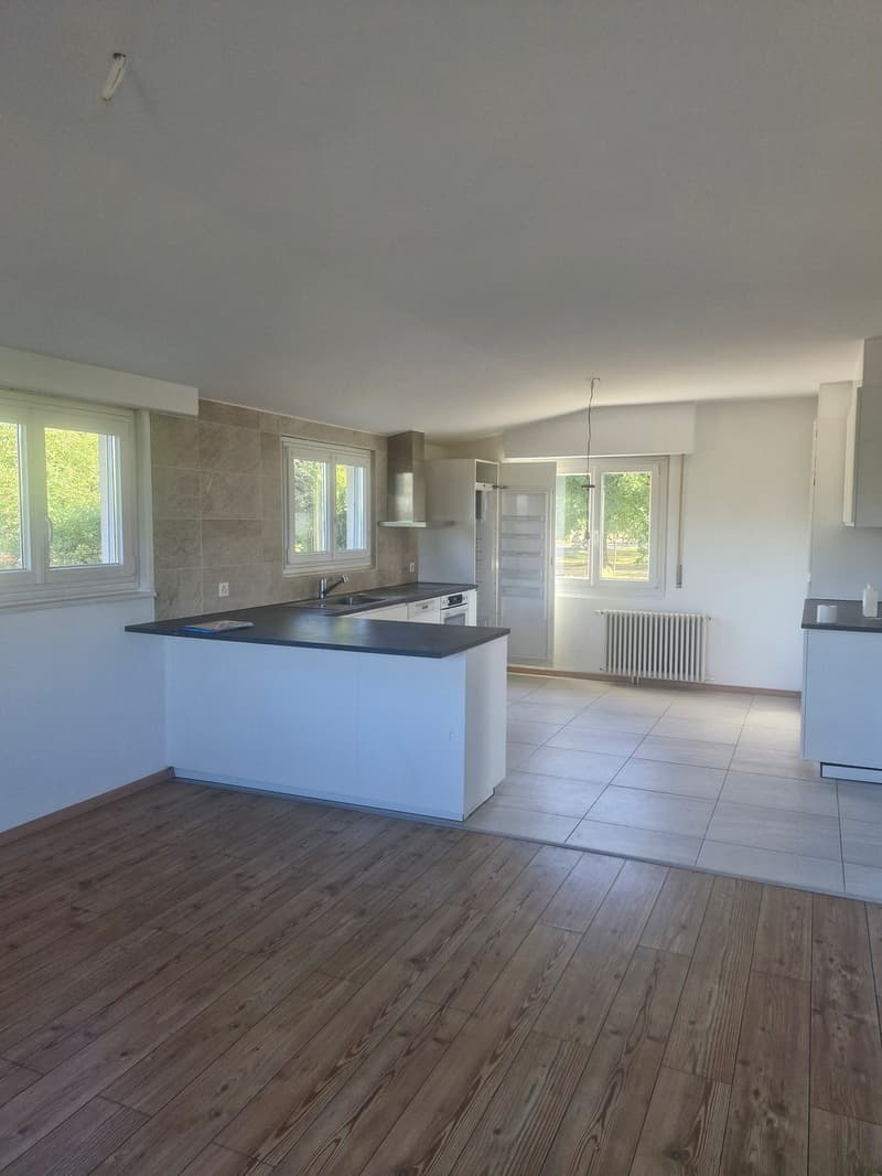 Helles 5.5-Zimmer-Apartment (2)