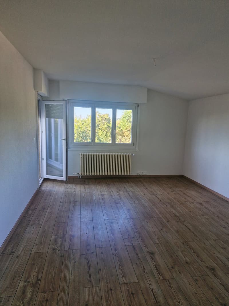 Helles 5.5-Zimmer-Apartment (3)