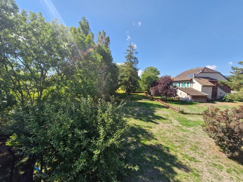 Charmant appartement de 3.5 pièces dans un cadre verdoyant (12)