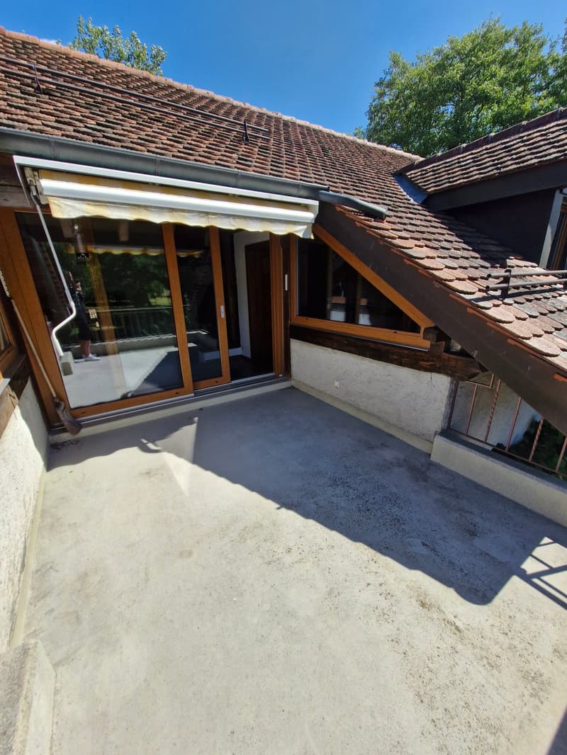 Charmant appartement de 3.5 pièces dans un cadre verdoyant (6)
