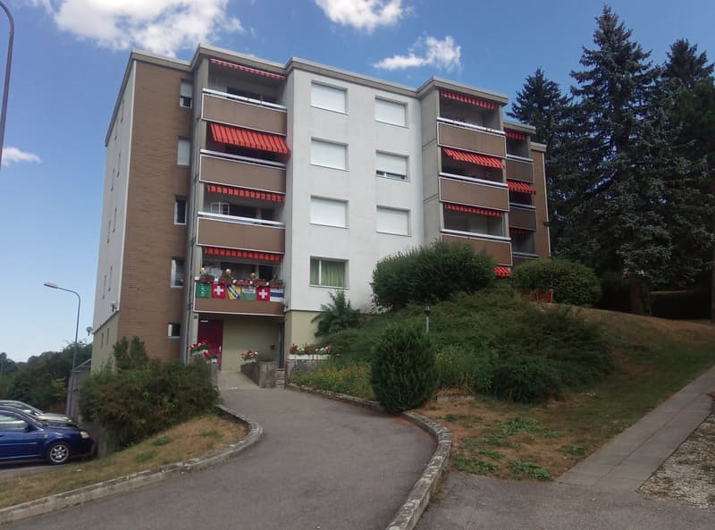 Appartement 2,5 pièces avec terrasse à Vallorbe (1)