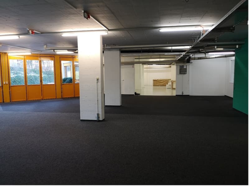 Empty room with ceiling lights, white columns, windows, and a door. Floors are carpeted. Another room is visible in the background.