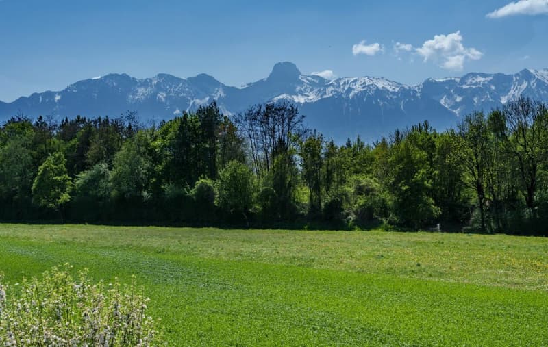Apartment with Alpine view for sale (11)