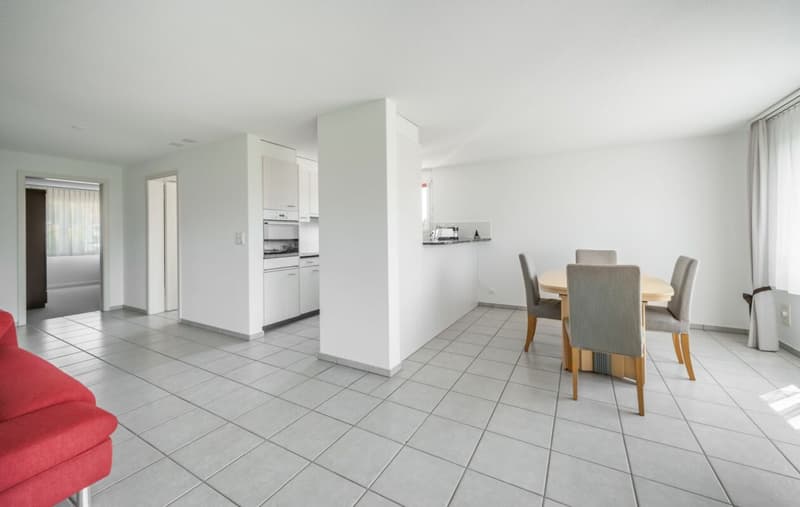Apartment with Alpine view for sale (4)