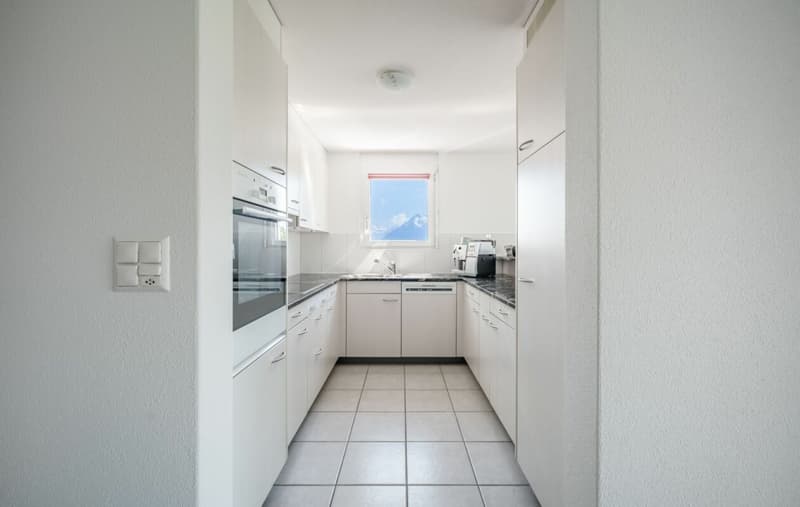 Apartment with Alpine view for sale (5)